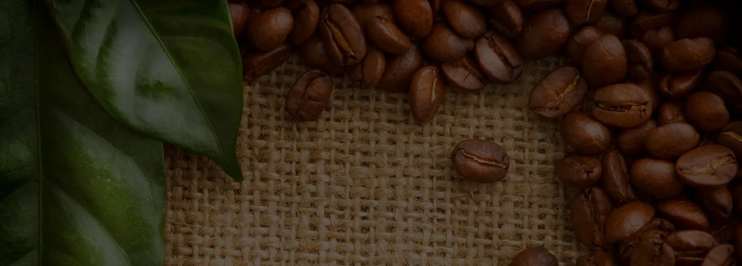 Banner Desktop Image