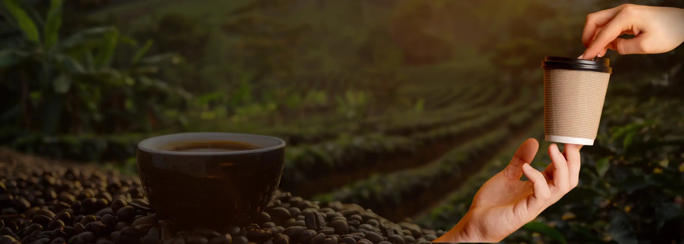 Banner Desktop Image