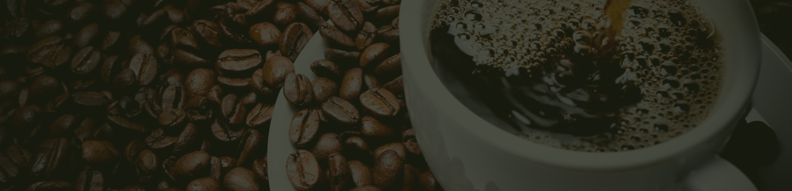 Banner Desktop Image