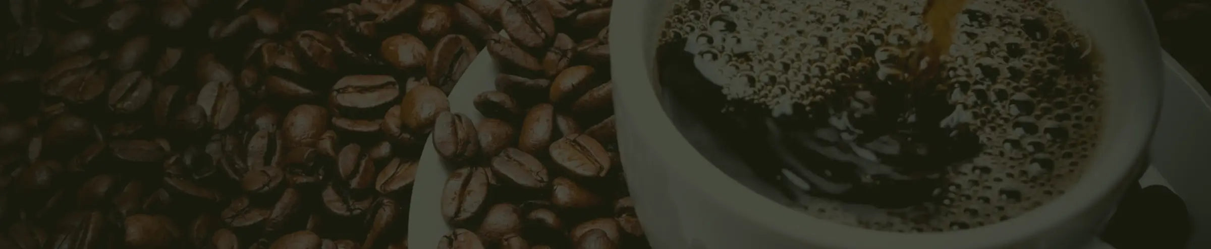 Banner Desktop Image