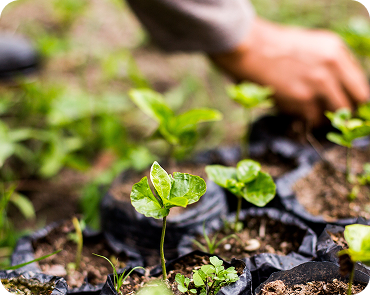 Brew Discipleship Locally &amp; Globally